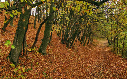 609075 (a): :2560x1600